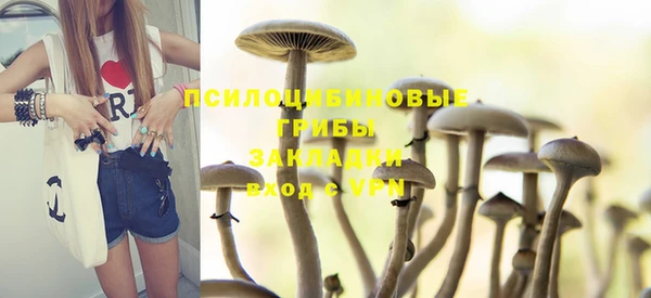 стаф Нея