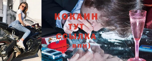 стаф Нея