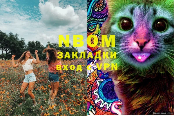 стаф Нея
