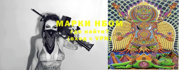 стаф Нея